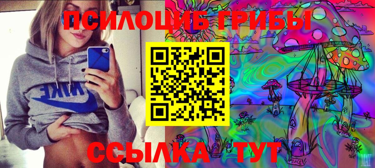 Галлюциногенные грибы Psilocybine cubensis  Вход с VPN  Лосино-Петровский 